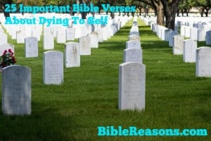 25 Important Bible Verses About Dying To Self