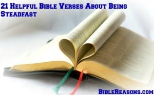 21 Helpful Bible Verses About Being Steadfast