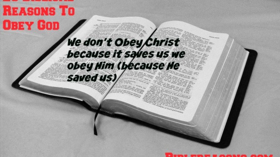 obey bible