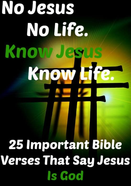 Featured image of post Bible Jesus Quotes About Life