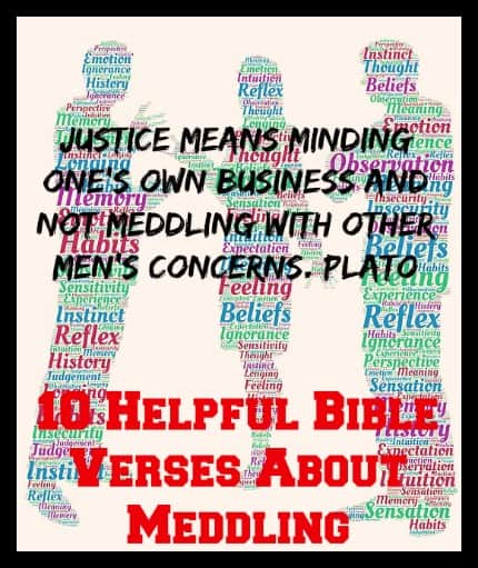10 Helpful Bible Verses About Meddling 