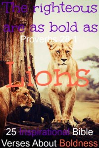 25 Inspirational Bible Verses About Boldness
