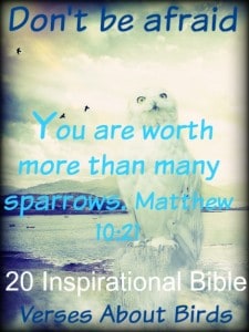 20 Inspirational Bible Verses About Birds