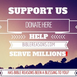 Support Bible Reasons