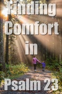 Finding Comfort in Psalm 23