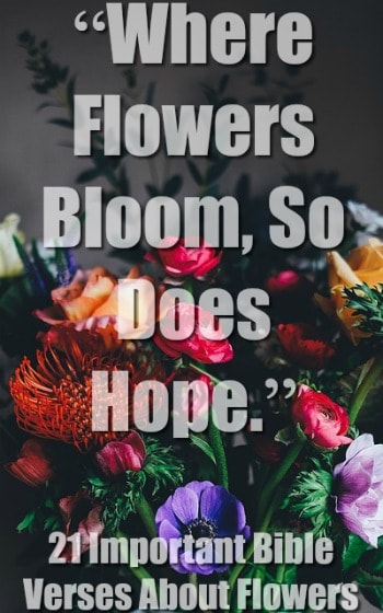 21 Important Bible Verses About Flowers Awesome Scriptures