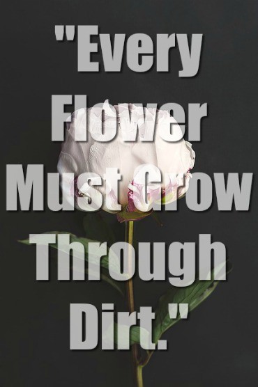 Every flower must grow through dirt.