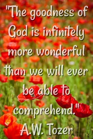 The goodness of God is infinitely more wonderful than we will ever