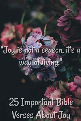 90 Inspirational Bible Verses About Joy In The Lord (2021)