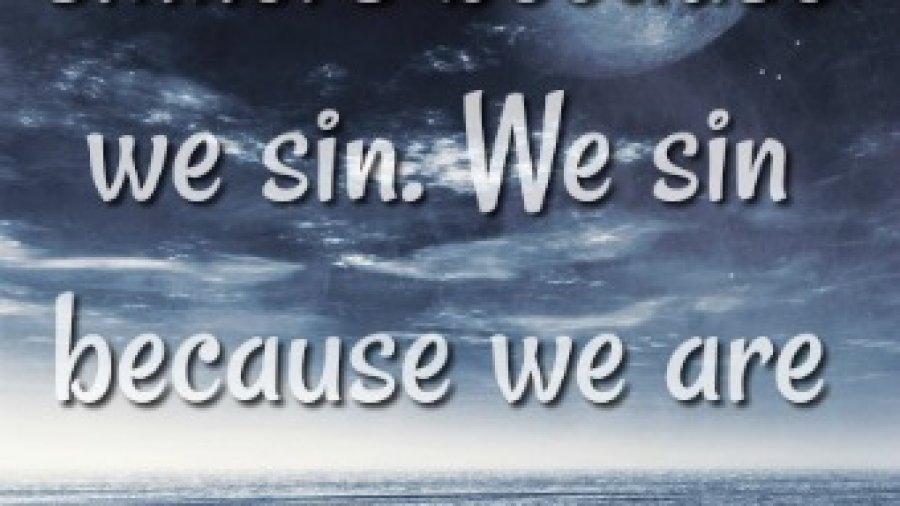 we sin quote