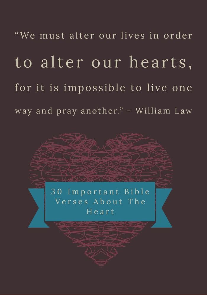 30 Important Bible Verses About The Heart