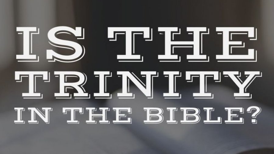 trinity bible