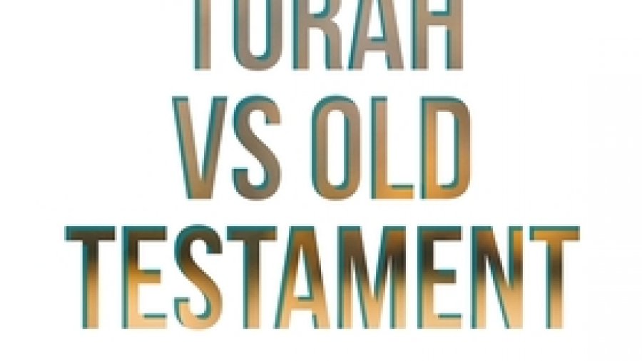 torah meaning