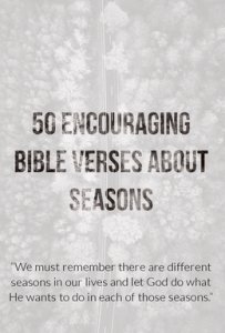 50 Encouraging Bible Verses About Seasons (Life Changing)