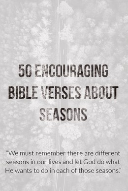 50 Encouraging Bible Verses About Seasons Life Changing