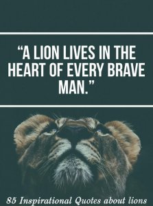 85 Inspirations Quotes About Lions (Lion Quotes For Motivation)