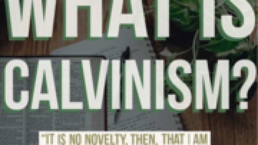 calvinism-explained