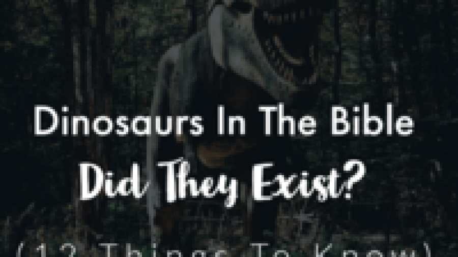 dinosaur-bible
