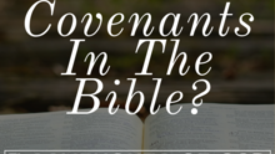 covenants-of-god