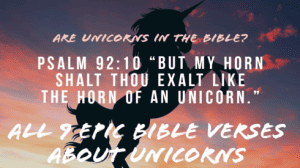 The Only 9 Bible Verses About Unicorns in The Bible (Epic)