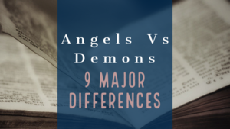 angel differences