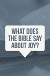 90 Inspirational Bible Verses About Joy In The Lord (Peace)