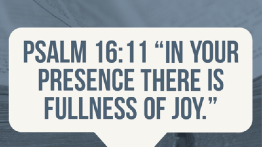 joy-presence-