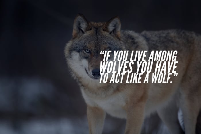 “If you live among wolves you have to act like a wolf.” 