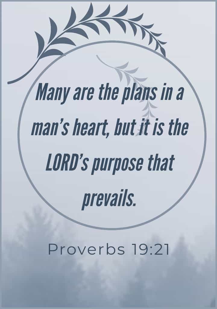Many are the plans in a man's heart but it is the Lord's purpose that prevails. 