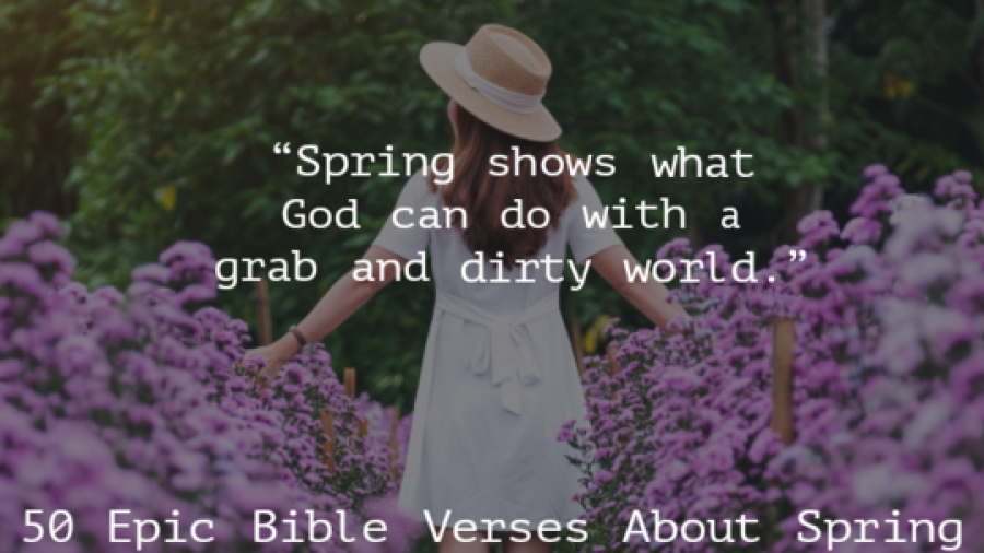 50 Epic Bible Verses About Spring And New Life (This Season)