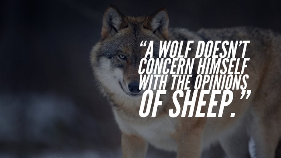 wolf quote