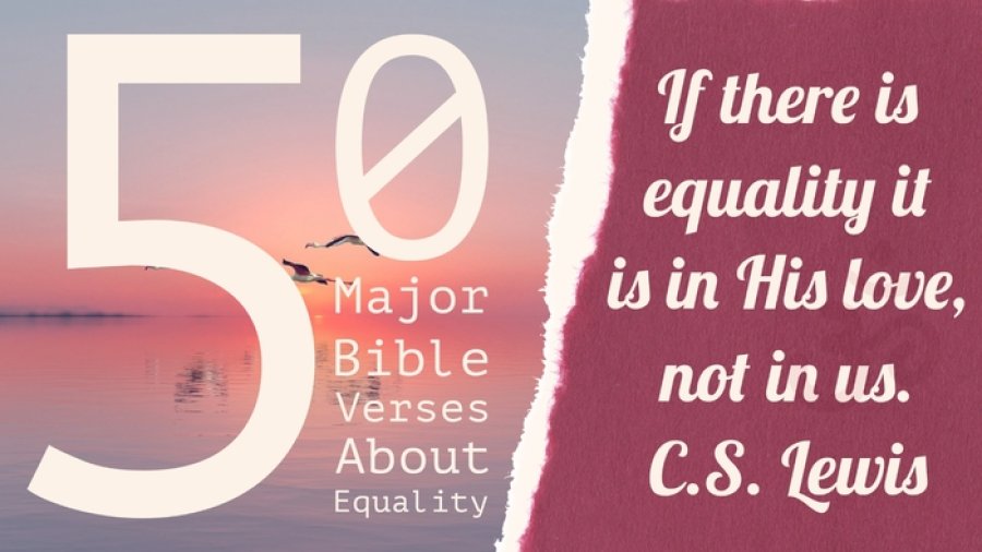 50 Major Bible Verses About Equality (Race, Gender, Rights)