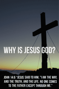 Is Jesus God In The Flesh Or Just His Son? (15 Epic Reasons)