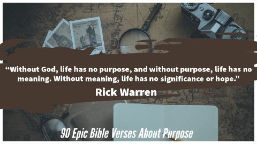 purpose bible
