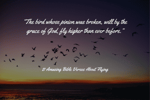 21 Amazing Bible Verses About Flying (Like An Eagle High Up)