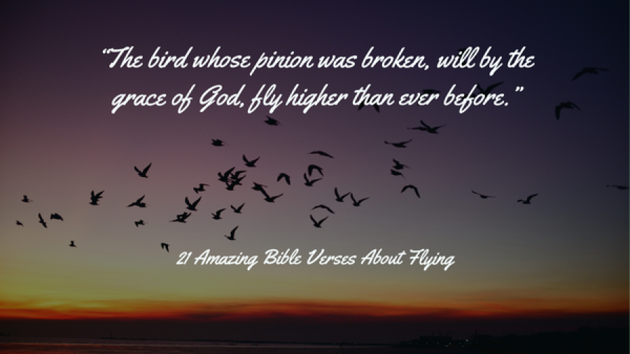 21 Amazing Bible Verses About Flying (Like An Eagle High Up)