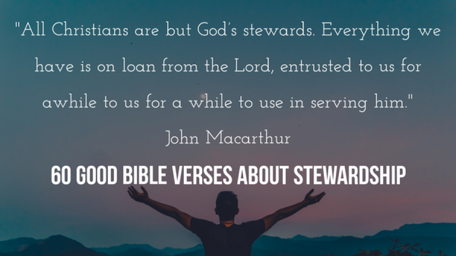 stewardship bible