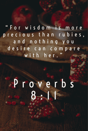 for wisdom is more precious than rubies. Proverbs 8:11