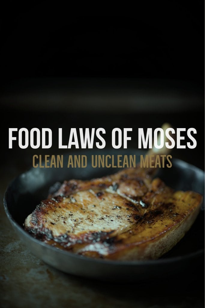 Dietary laws of moses: clean and unclean food