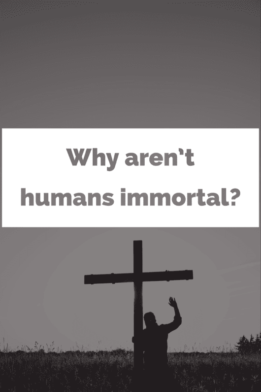 Why aren’t humans immortal?