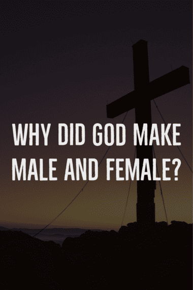 Why did God create genders, male and female?