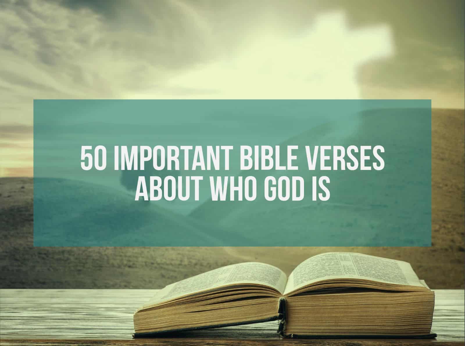84 Bible Verses about 'Own' 