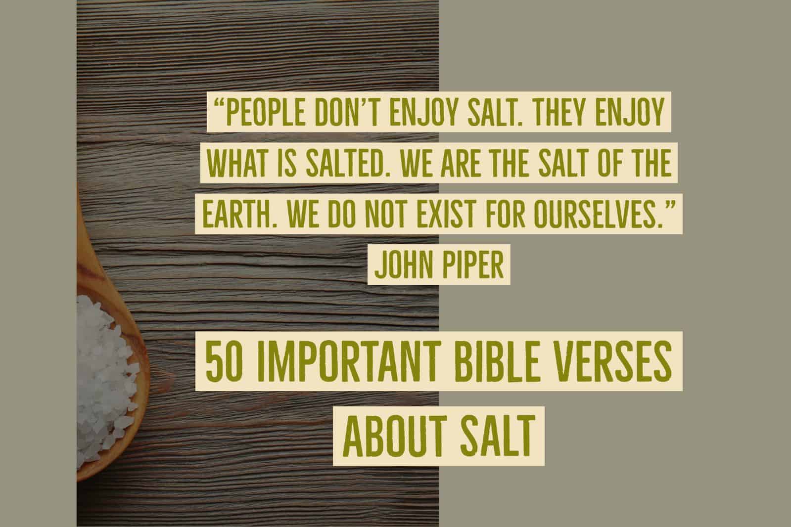 https://biblereasons.com/wp-content/uploads/2023/10/salt-bible.jpg
