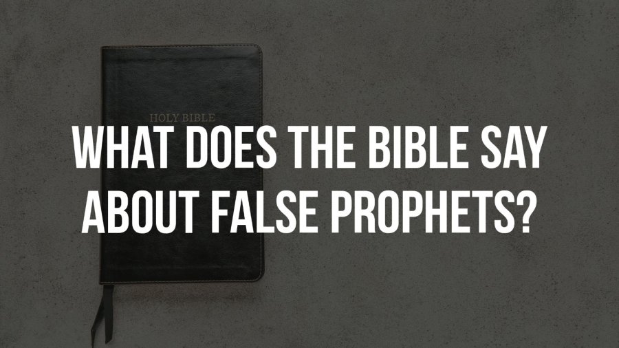 What Does The Bible Say About False Prophets? + (10 Verses)