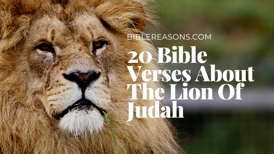 20 Mighty Verses Unveiling the Power of the Lion of Judah