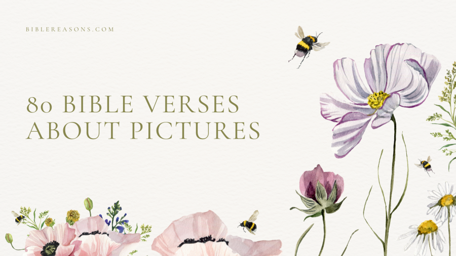 80 Important Bible Verses About Pictures